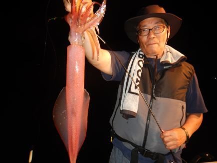 シロイカ(ケンサキイカ)