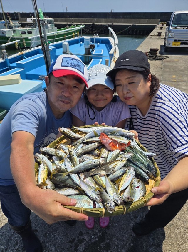 アジ(マアジ)・イサキ・サバ(マサバ)・カサゴ・ウルメイワシ
