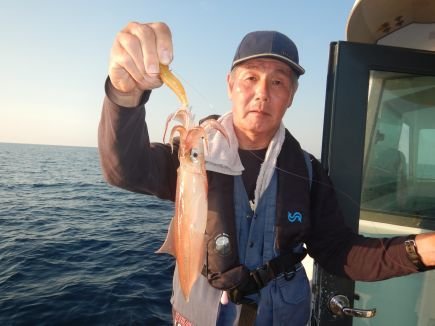 シロイカ(ケンサキイカ)