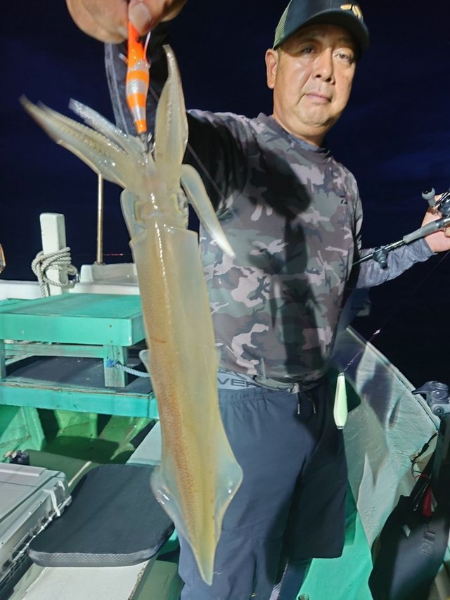 シロイカ(ケンサキイカ)