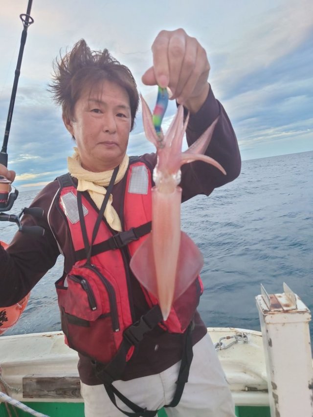 シロイカ(ケンサキイカ)