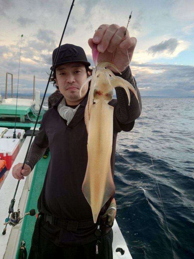 シロイカ(ケンサキイカ)