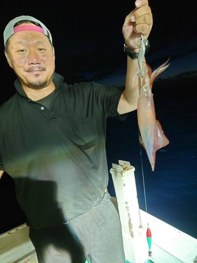 シロイカ(ケンサキイカ)