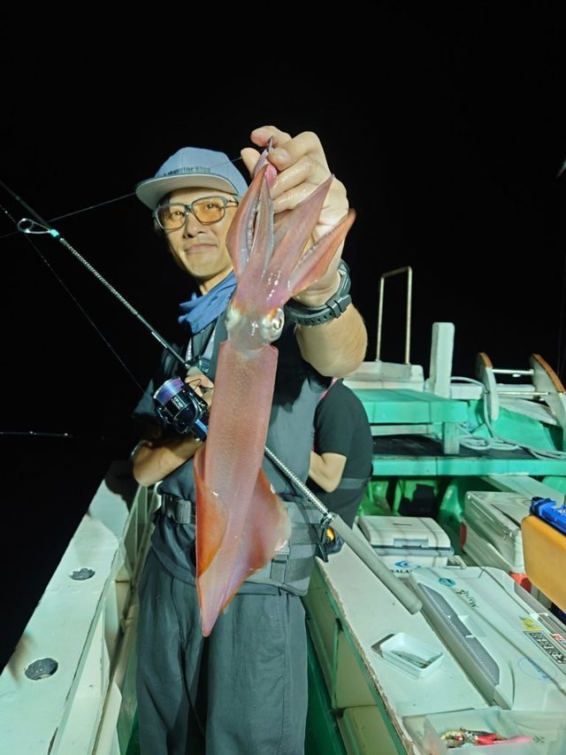 シロイカ(ケンサキイカ)