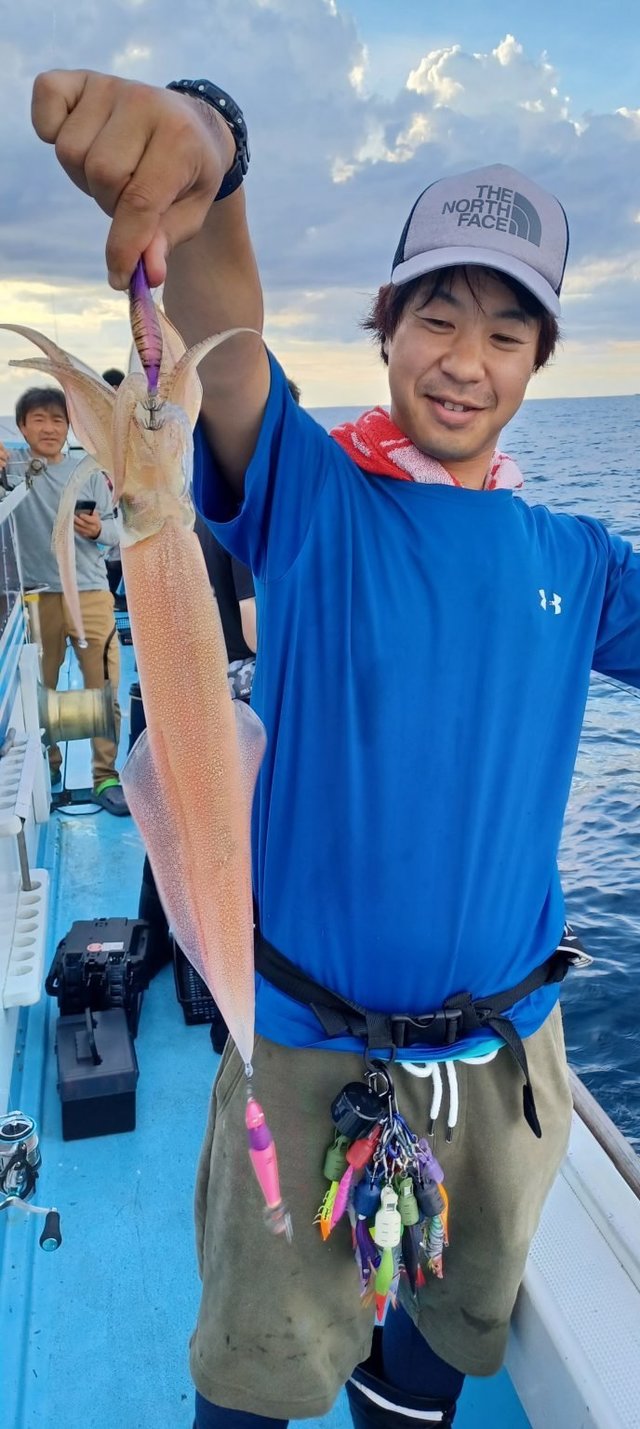 シロイカ(ケンサキイカ)