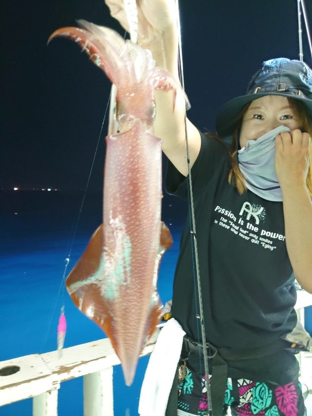 シロイカ(ケンサキイカ)