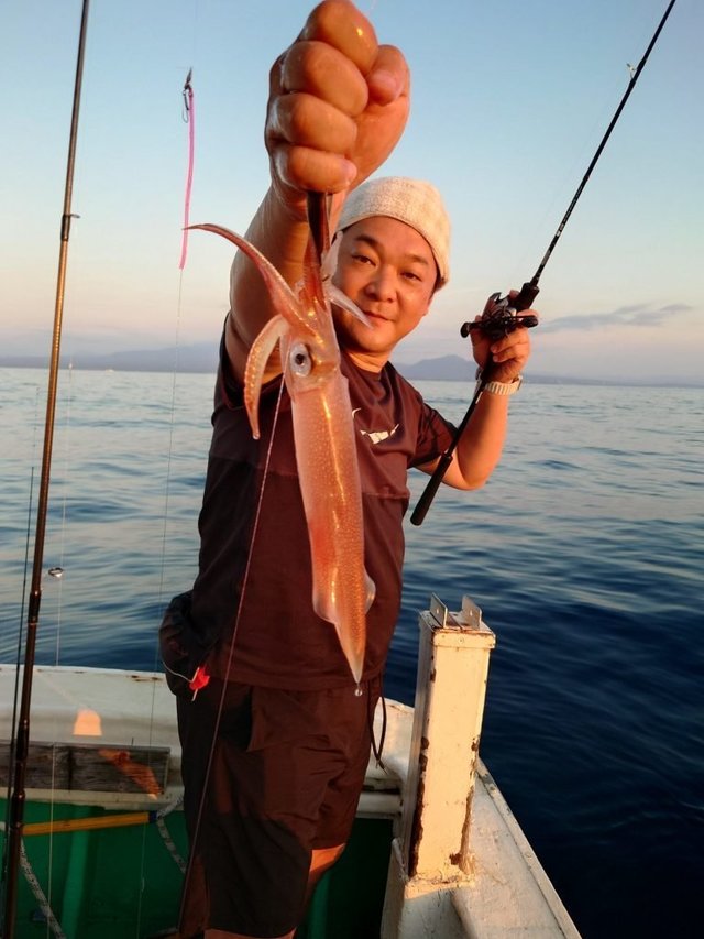 シロイカ(ケンサキイカ)