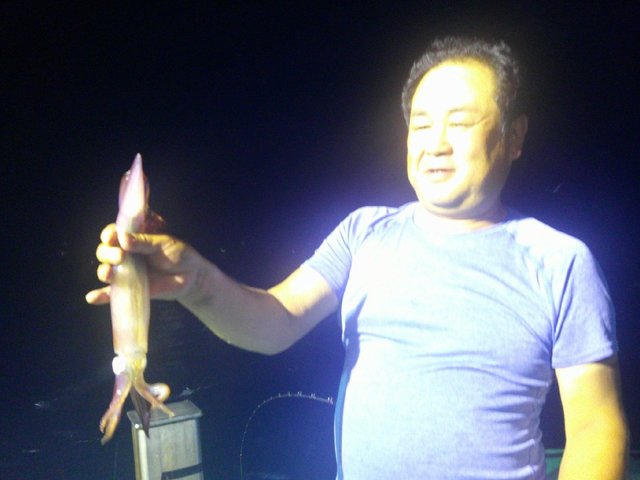 アカイカ(ケンサキイカ)