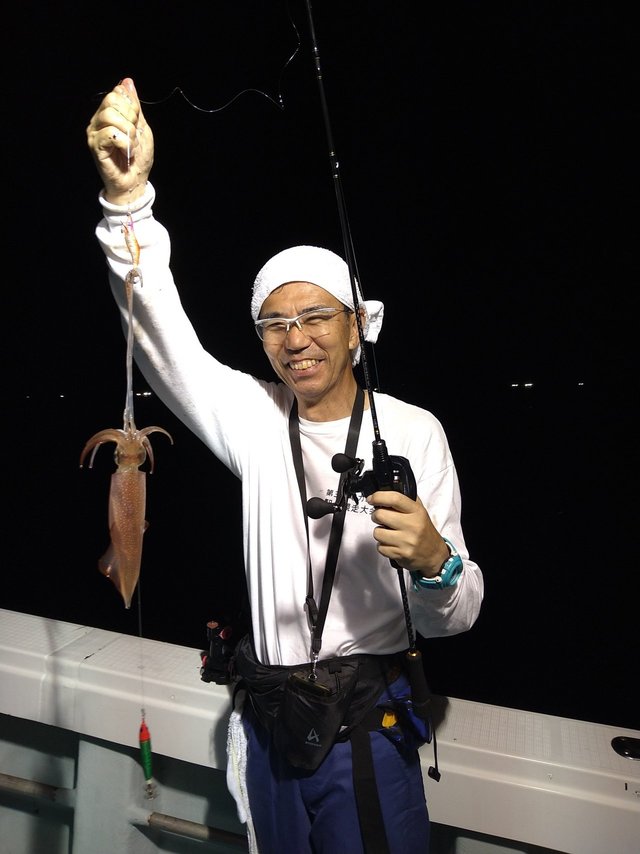 イカ(ヤリイカ)