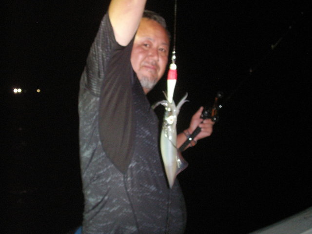 イカ(ヤリイカ)