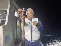 アカイカ(ケンサキイカ)