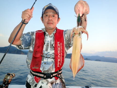 シロイカ(ケンサキイカ)