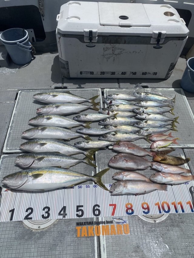 マダイ・アオハタ・ブリ・ハマチ(ブリ)・シロアマダイ・イトヨリ(イトヨリダイ)・サバ(マサバ)