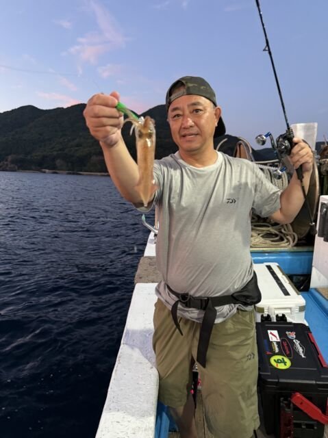 マイカ(ケンサキイカ)