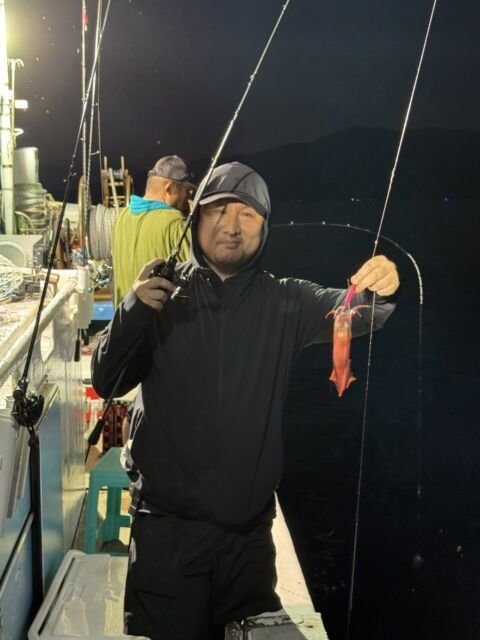 マイカ(ケンサキイカ)