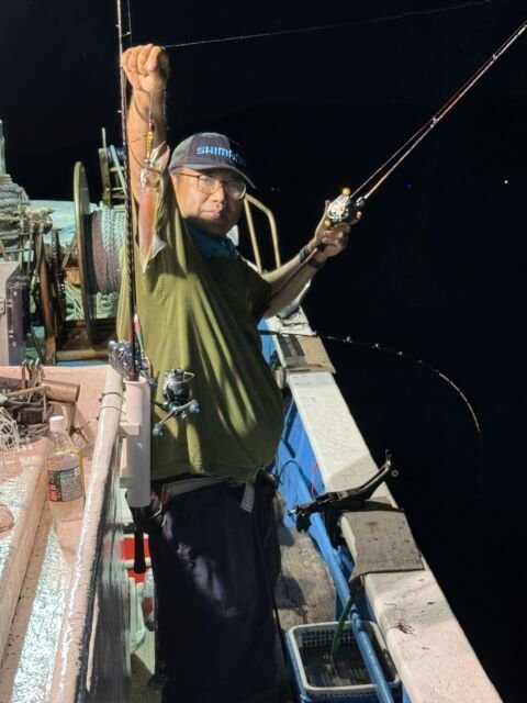 マイカ(ケンサキイカ)