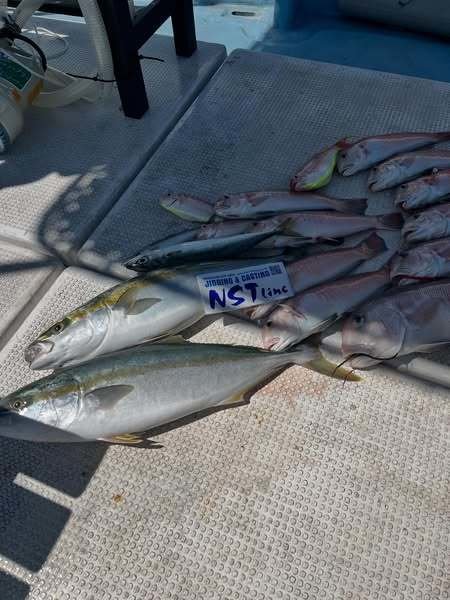 ブリ・シロアマダイ・イトヨリ(イトヨリダイ)