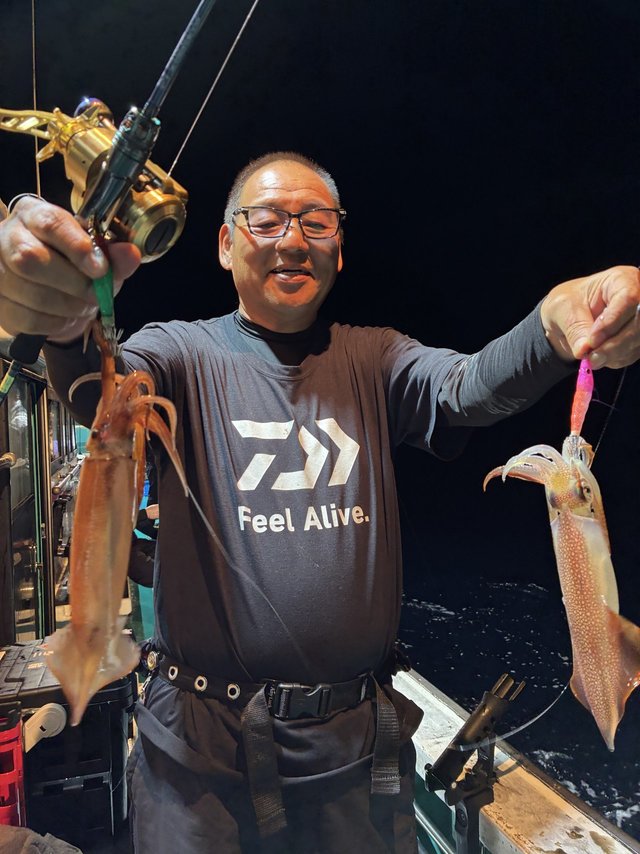 アカイカ(ケンサキイカ)