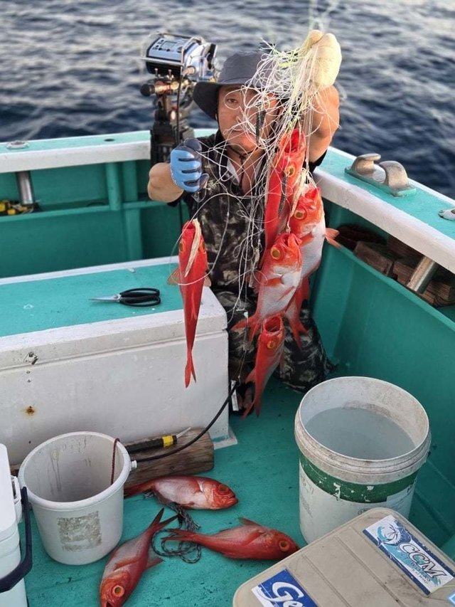 キンメ(キンメダイ)