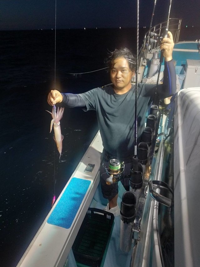 イカ(ヤリイカ)