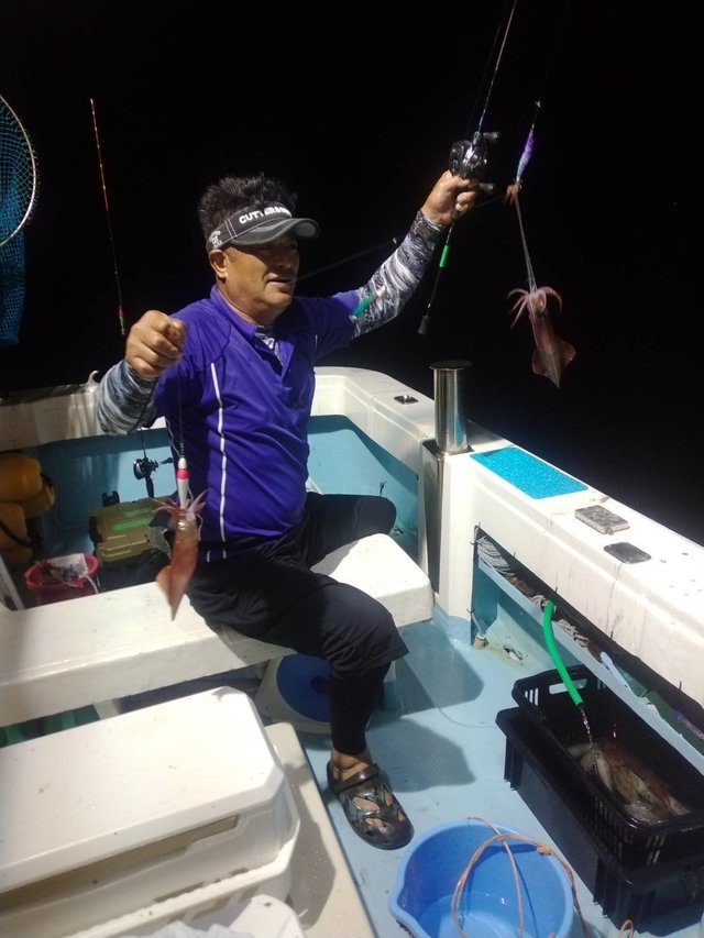 イカ(ヤリイカ)