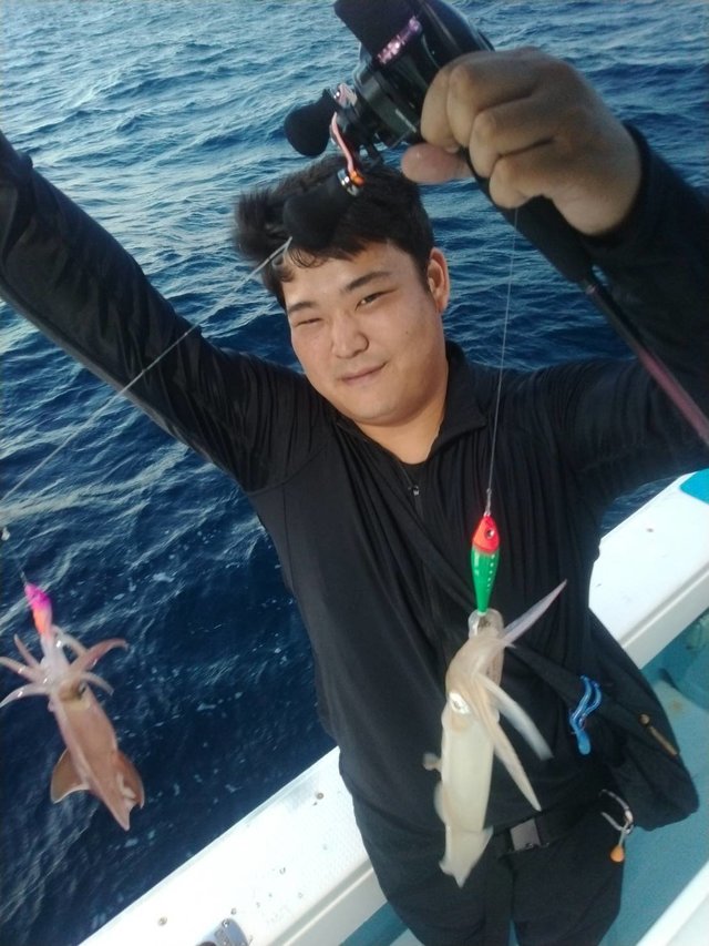 イカ(ヤリイカ)