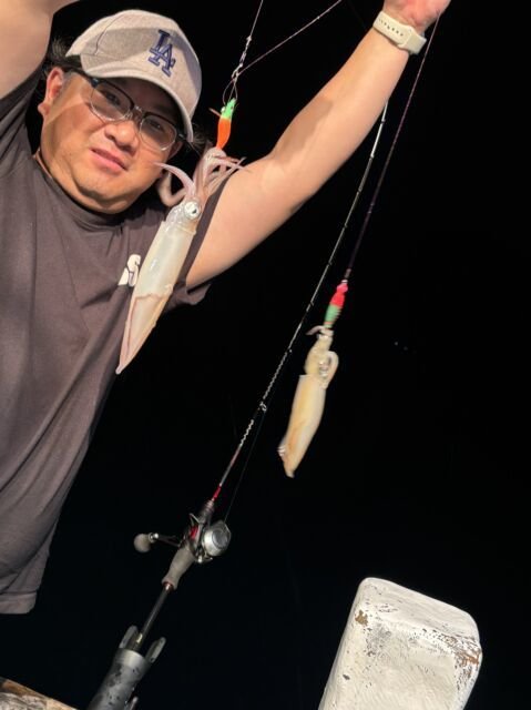 マイカ(ケンサキイカ)