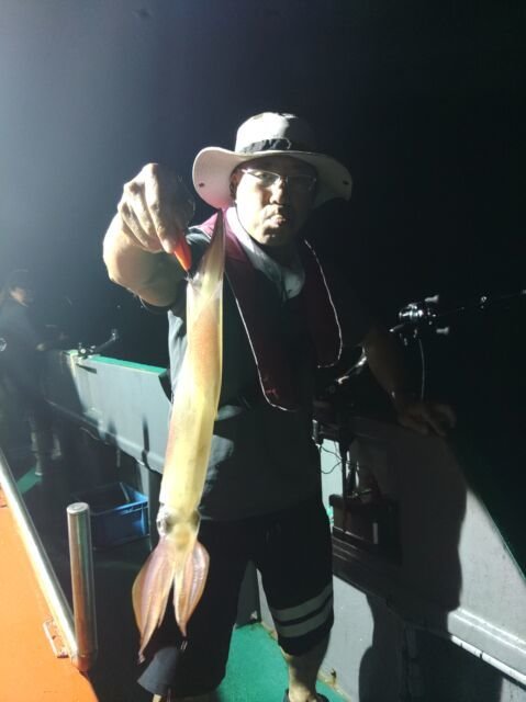 イカ(ヤリイカ)