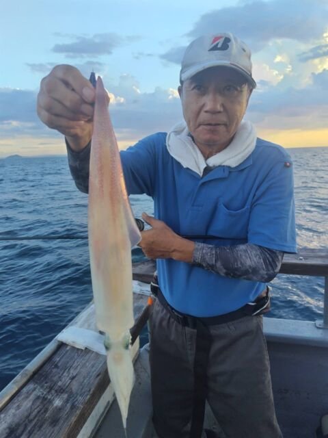 イカ(ヤリイカ)