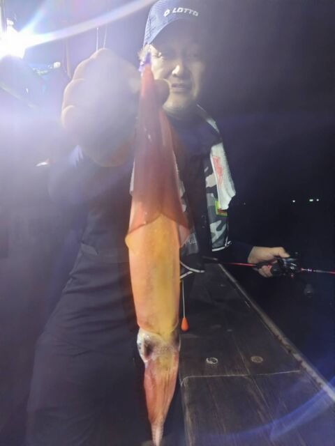 イカ(ヤリイカ)