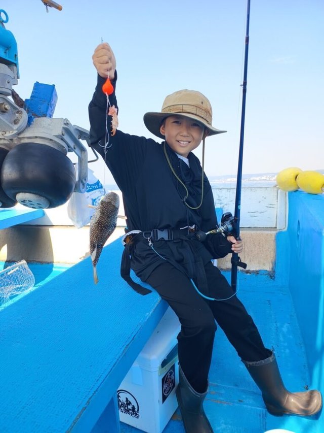 ショウサイフク(ショウサイフグ)