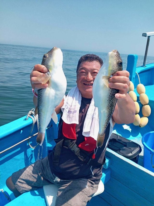 ショウサイフク(ショウサイフグ)