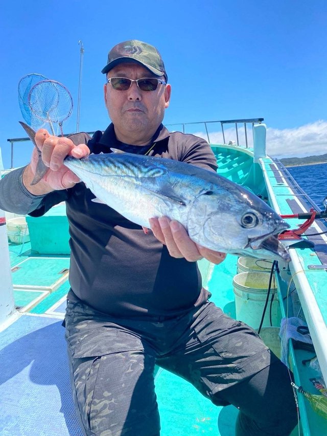 スマガツオ(スマ)