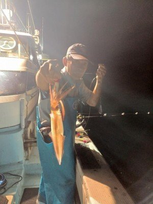 イカ(ケンサキイカ)