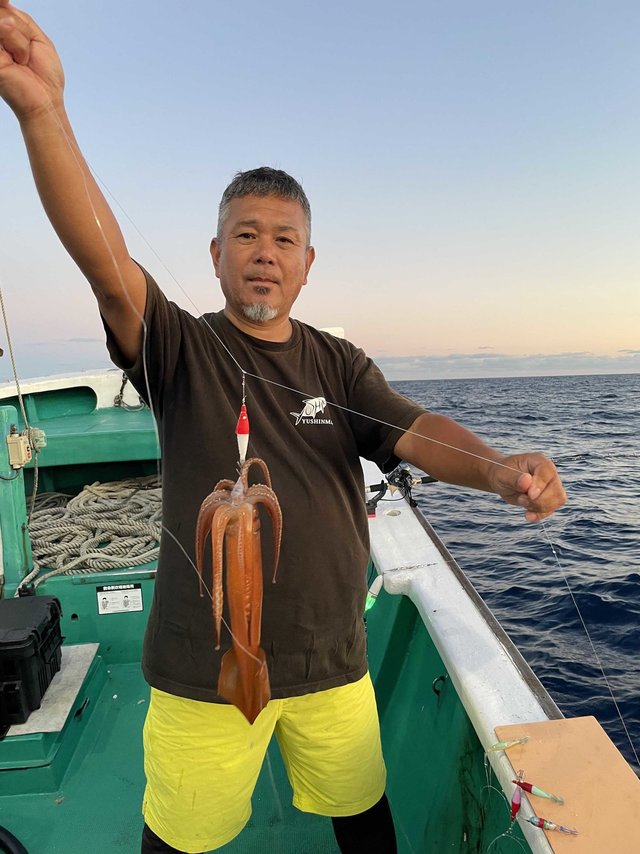 スルメ(スルメイカ)