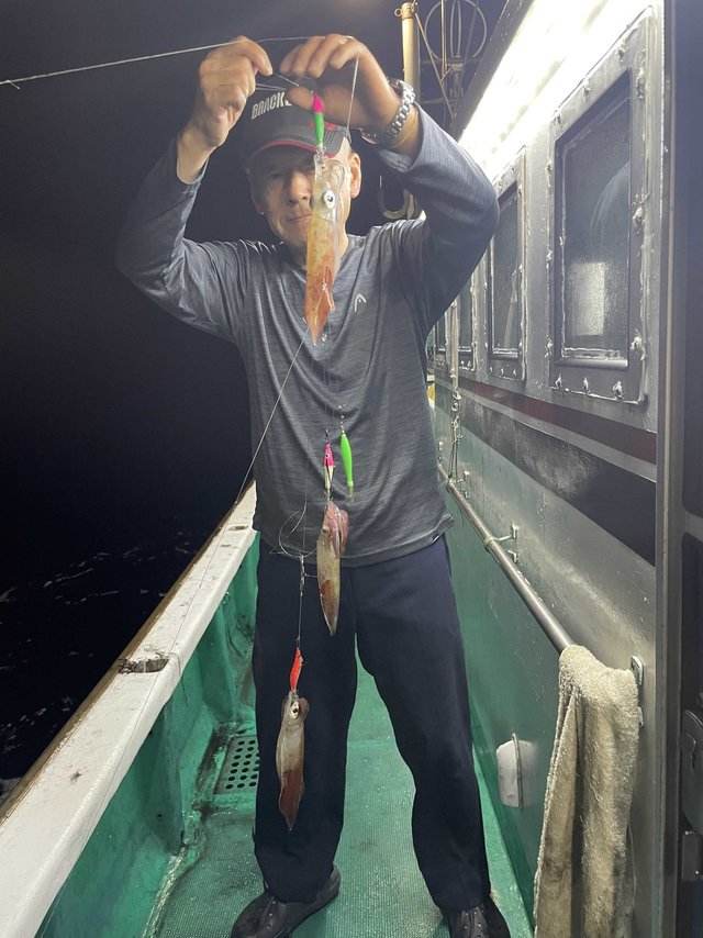 アカイカ(ケンサキイカ)