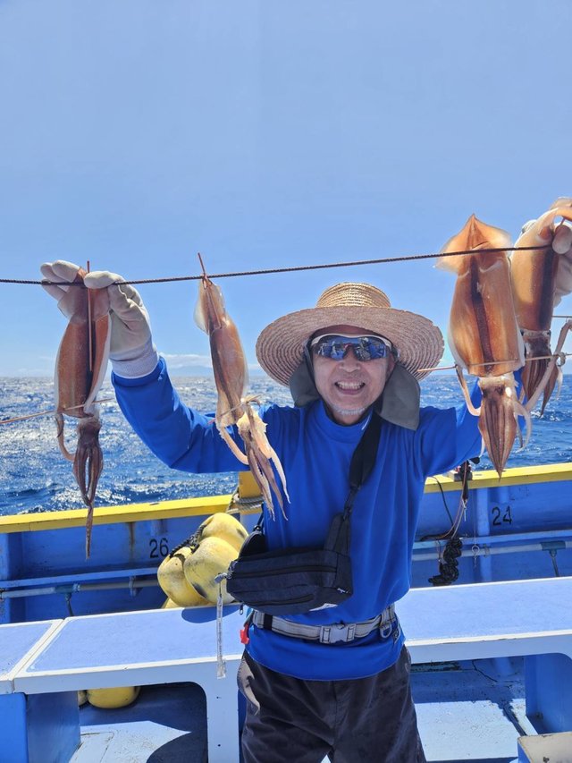 スルメ(スルメイカ)