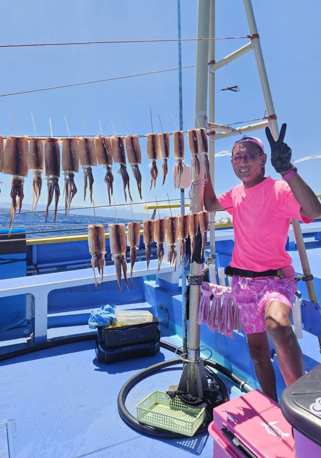 スルメ(スルメイカ)