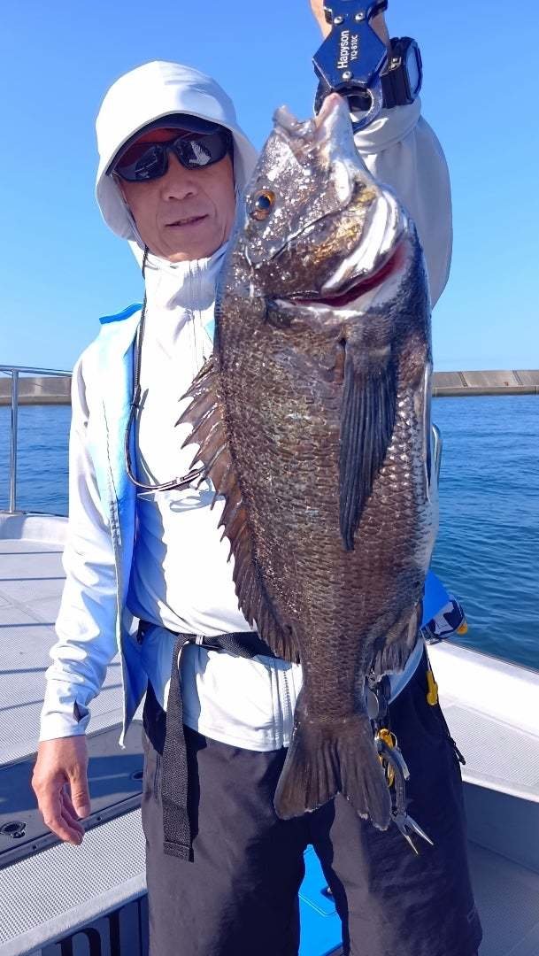 チヌ(クロダイ)