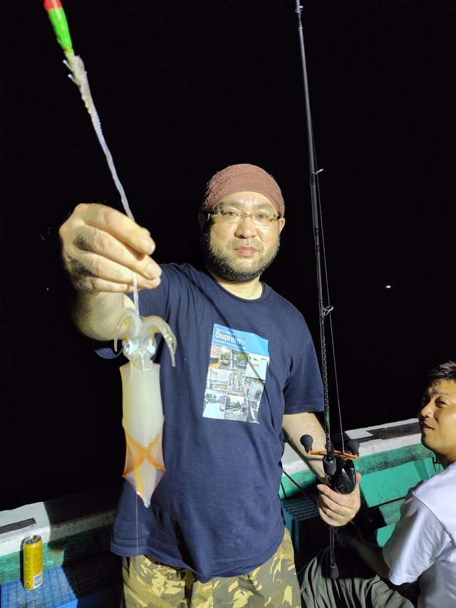 シロイカ(ケンサキイカ)