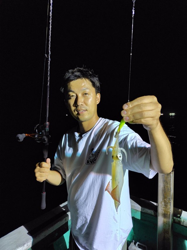 シロイカ(ケンサキイカ)