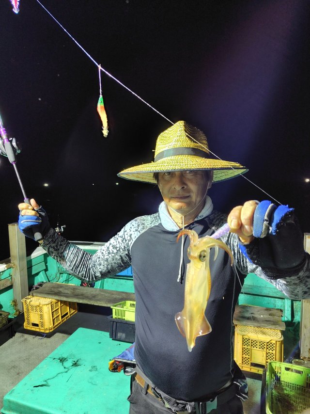 シロイカ(ケンサキイカ)