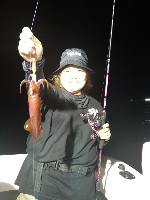 イカ(ケンサキイカ)