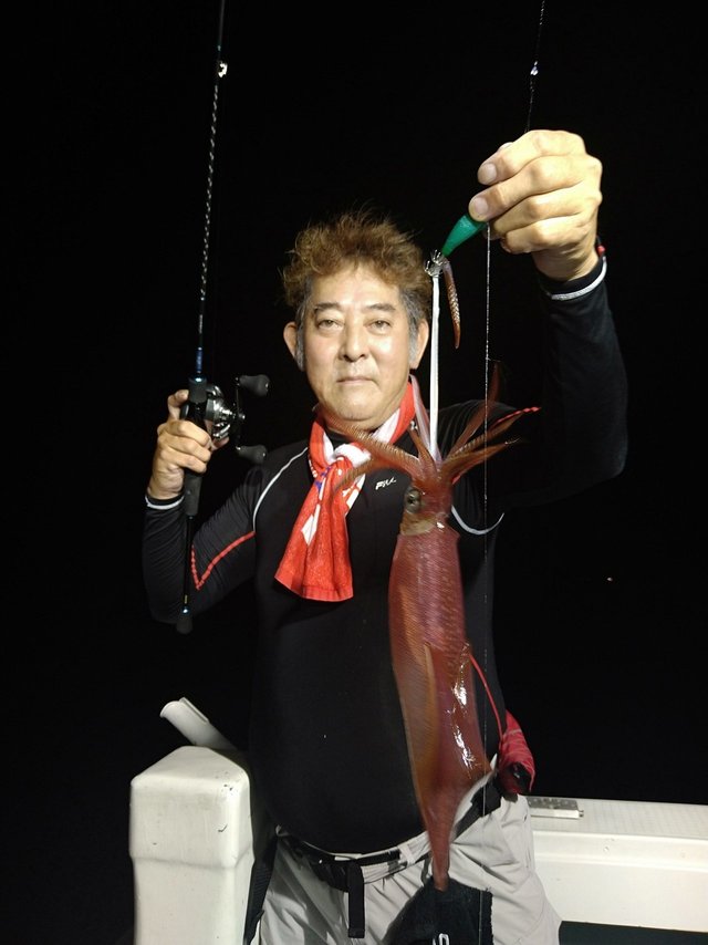 イカ(ケンサキイカ)