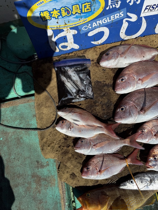 タイ(マダイ)・タチウオ