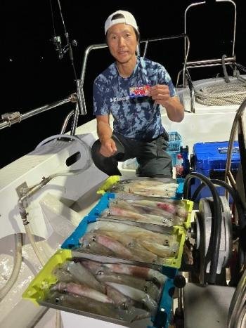 マイカ(ケンサキイカ)