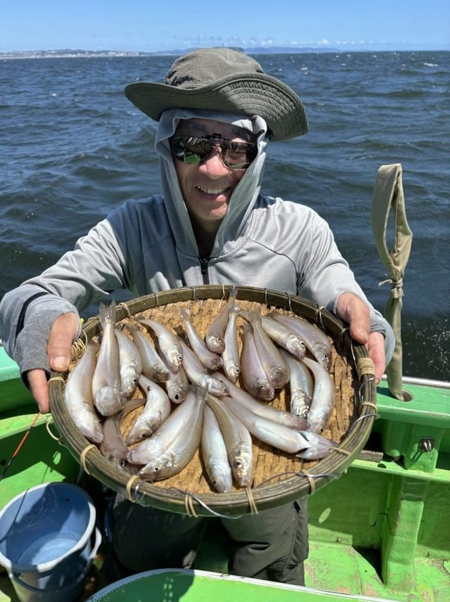 キス(シロギス)