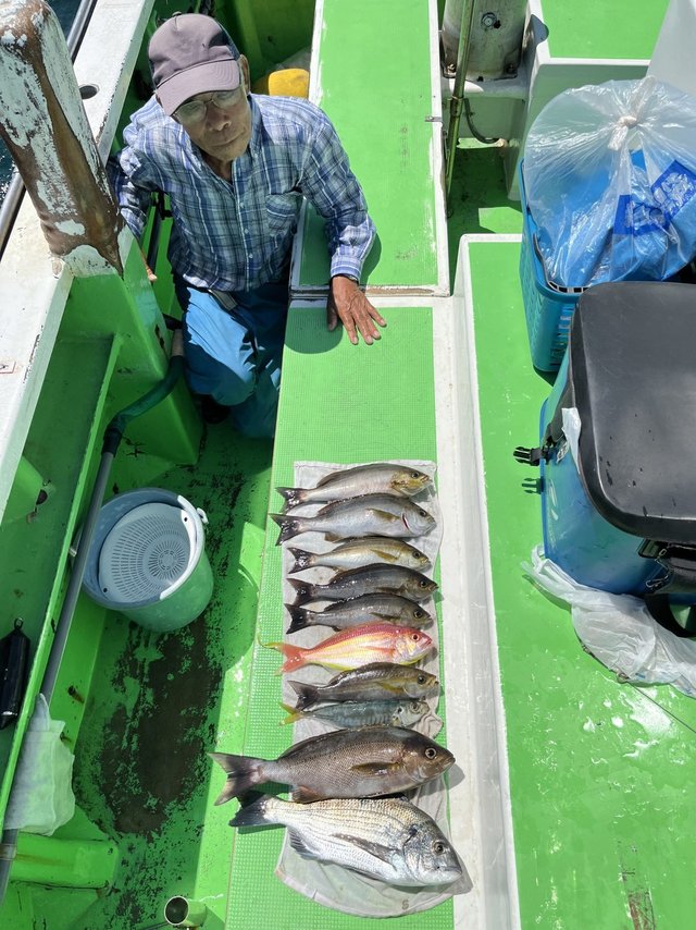 マダイ・クロダイ・アジ(マアジ)・イサキ