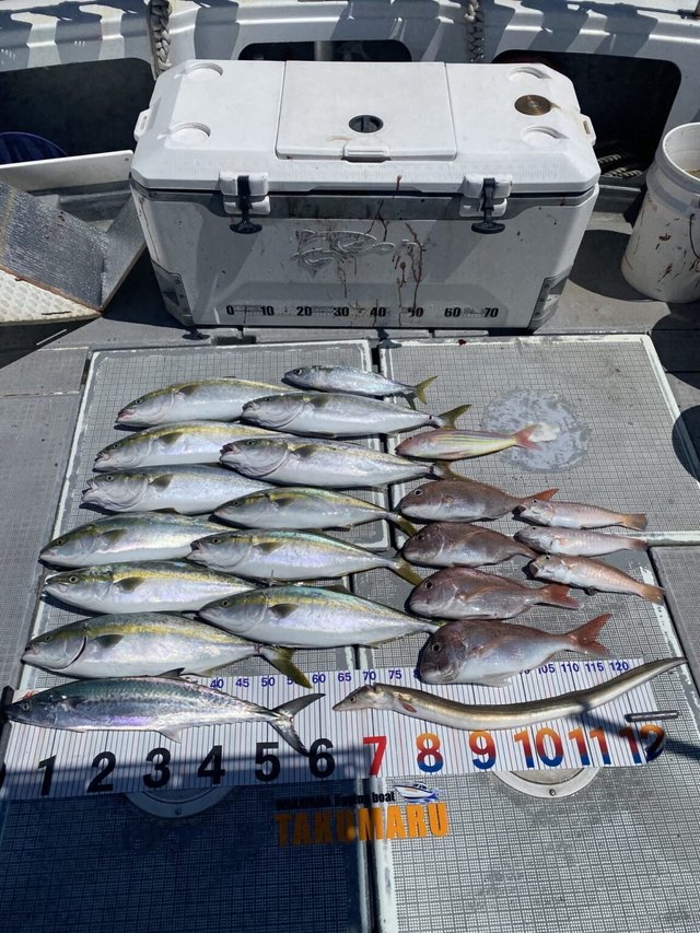 マダイ・ハマチ(ブリ)・アマダイ(アカアマダイ)・イトヨリ(イトヨリダイ)・サワラ・ハモ