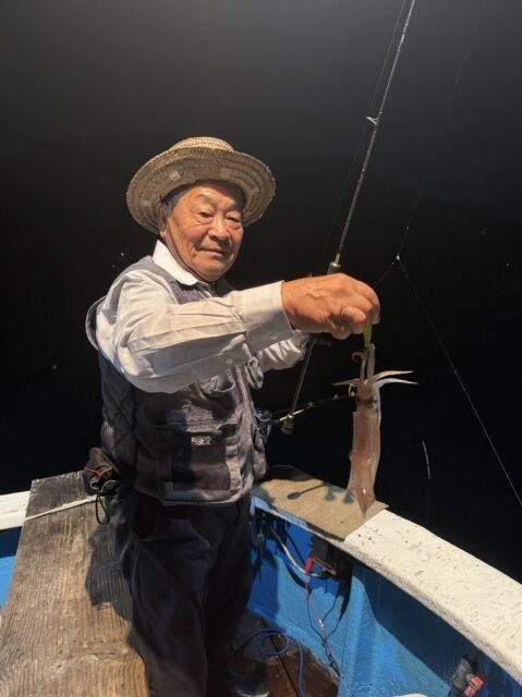 マイカ(ケンサキイカ)